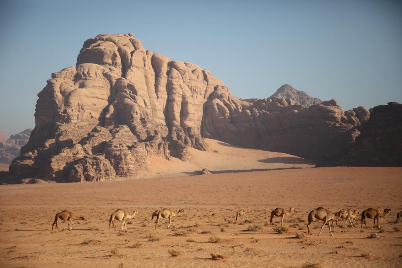 Rum Stars Camp Wadi Rum Exterior photo